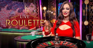 bet55 com win